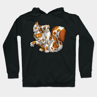 CerPURRus: Ginger Bicolor Tabby Hoodie